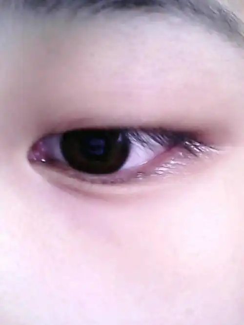 请问这种眼睛叫做什么眼呢?单眼皮