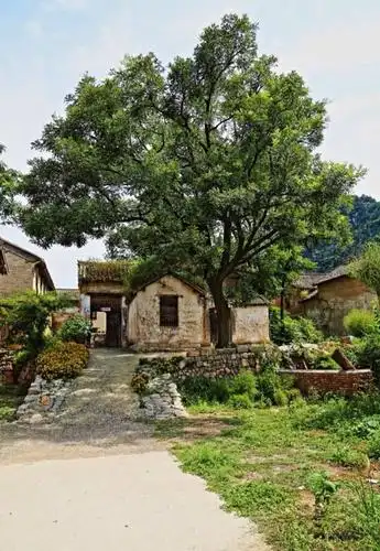 陵川竟然还有个这么美丽的小村庄!很多人都没去过.