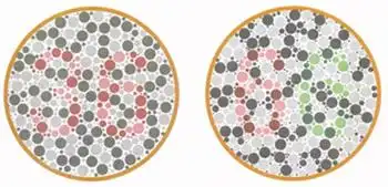 色盲测试图 - 色盲色弱测试 - 色盲检查图 - 色弱测试图 - 红绿色盲