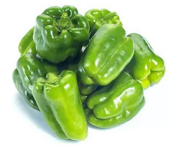 供应优质新鲜青椒 高品质圆椒 灯笼椒