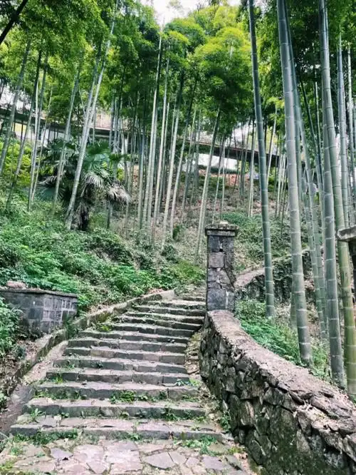 上海出发工作日徒步路线莫干山徒步