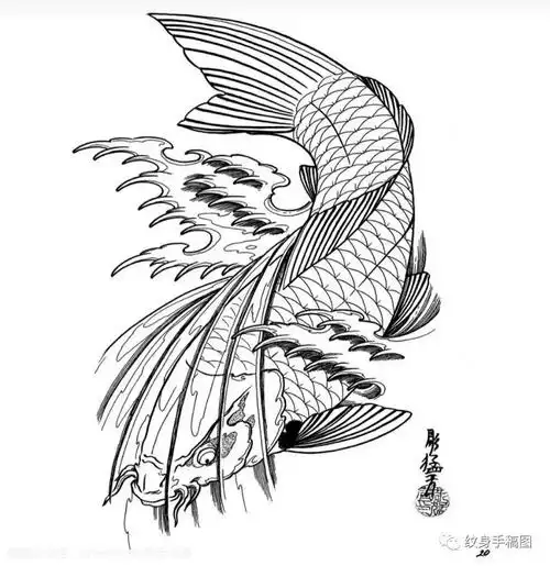 鱼纹身 纯线稿 锦鲤纹身 线条纹身 纹身手稿 纹身图案 - chrome插件网