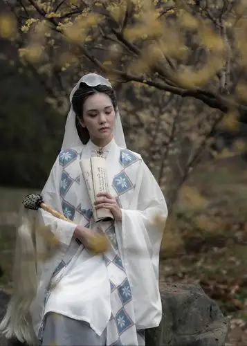 金陵十二钗——妙玉