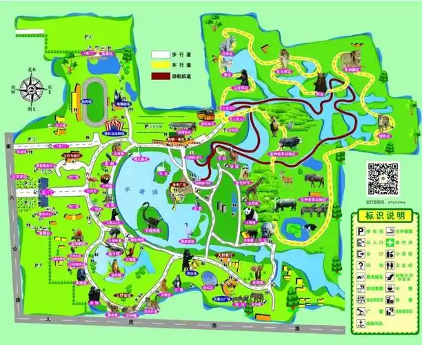 中秋特价9月131415日上海野生动物园畅游疯狂动物城198元人