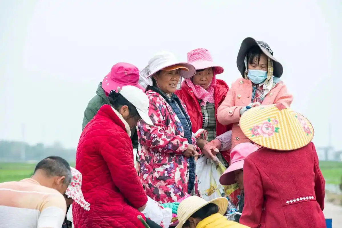 《当代农民系列》辛苦劳作的农民.#图文伙伴计划 - 抖音