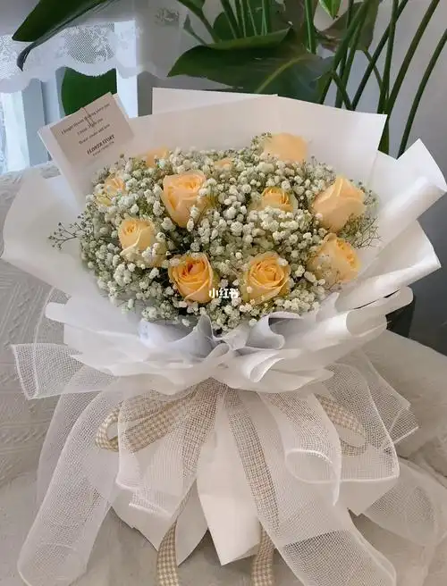 香槟玫瑰加满天星花束