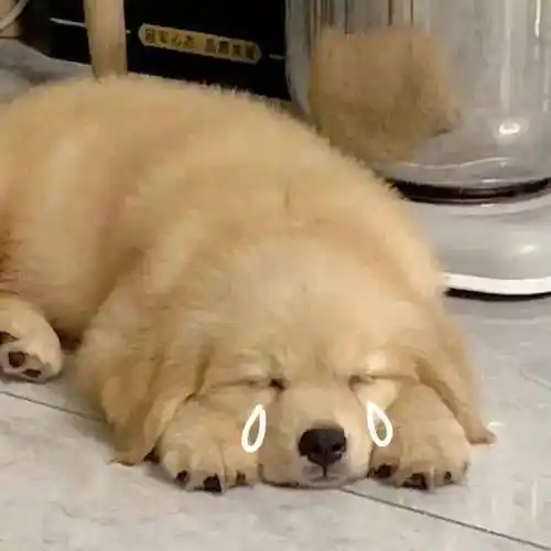 头像微信头像好看到爆