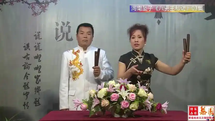 河南坠子《八贤王私访》第03集,王建国,范翠霞演唱_哔哩哔哩_bilibili