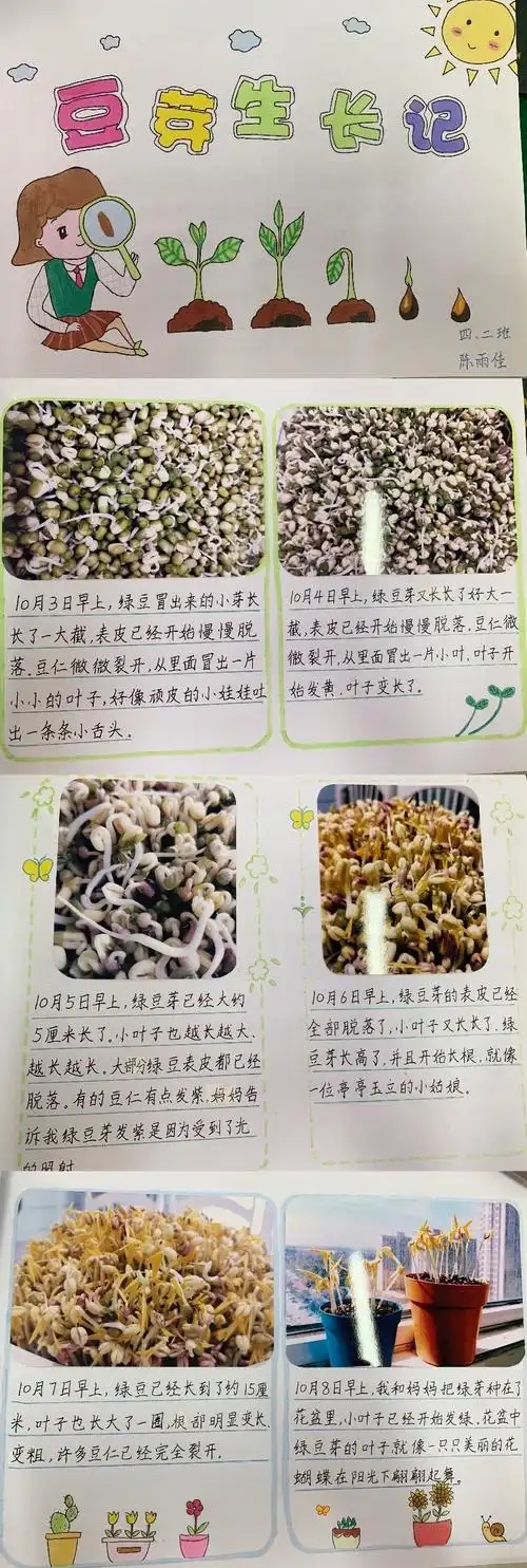 四年级二班观察日记优秀作业展