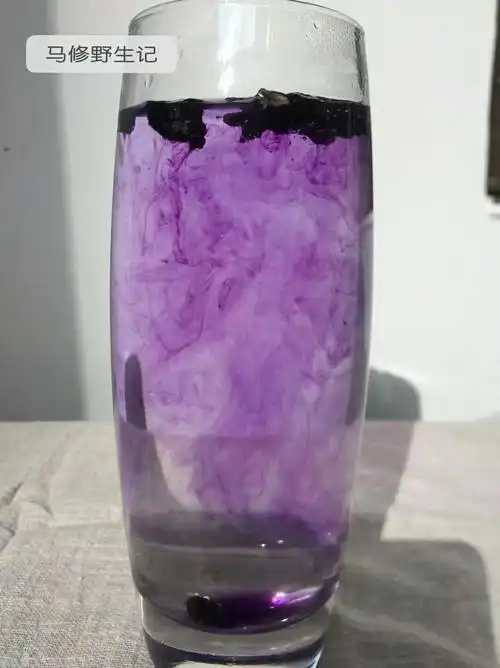 黑枸杞泡水为什么会变色?