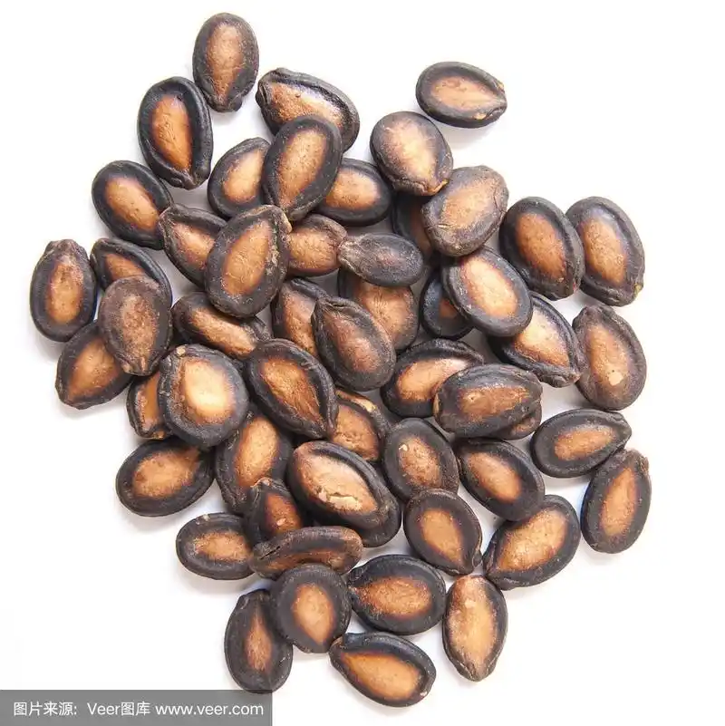 在白色背景上烘烤分离的西瓜种子
