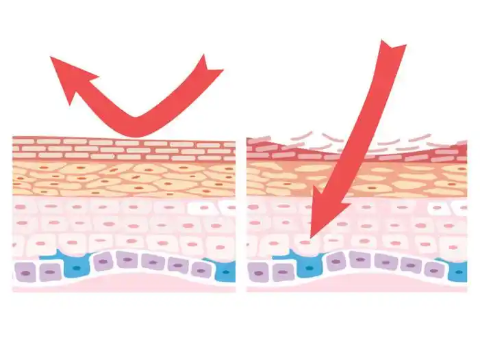 换季过敏是噩梦有它肌肤屏障受损不用怕