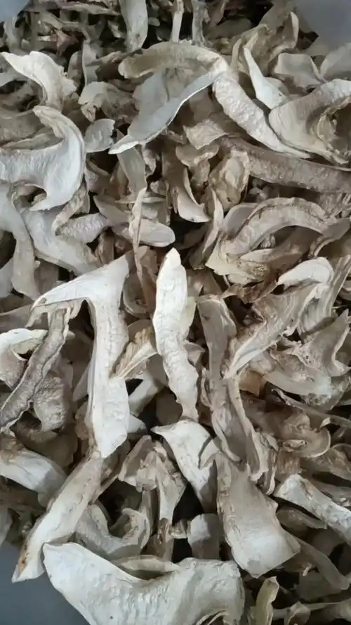 云南高原野生松茸干片
