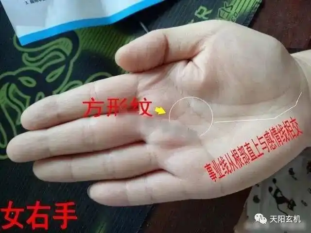 第三,珍贵难得的女字纹这位男士左手,玉柱纹清晰直上,并且形成一生