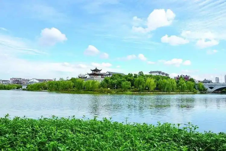 琅琊区_滁州_樱花