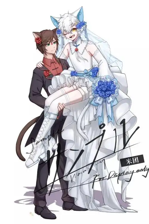 京剧猫——武与白