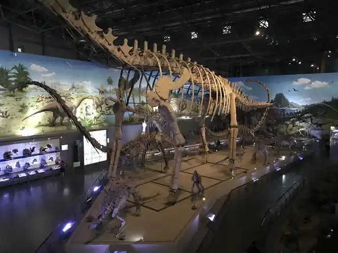 西峡恐龙遗迹园