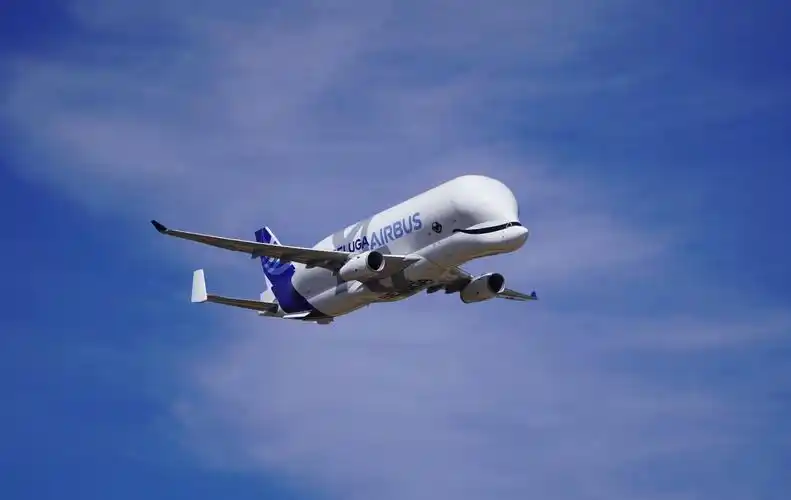 组图空中客车超级大白鲸在纹身会航展进行飞行演示