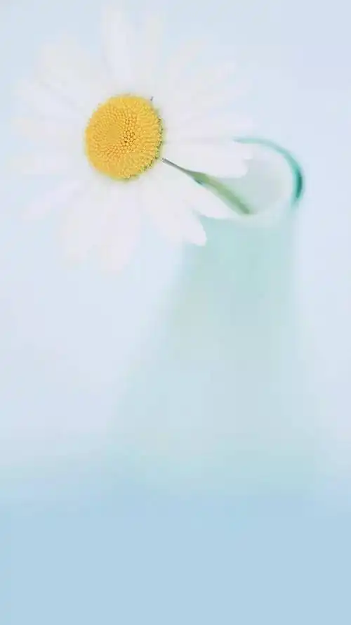 【小清新】植物手机背景图,聊天背景