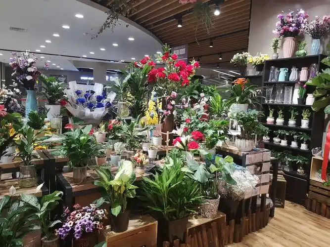 鲜花陈列.商品较丰满.