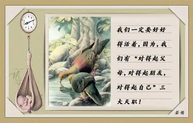 真正的涵养和品位