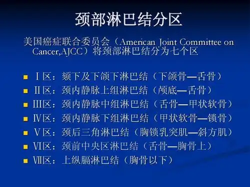 颈部淋巴结分区