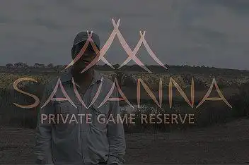 贝拉alleys相亲_百度视频搜索