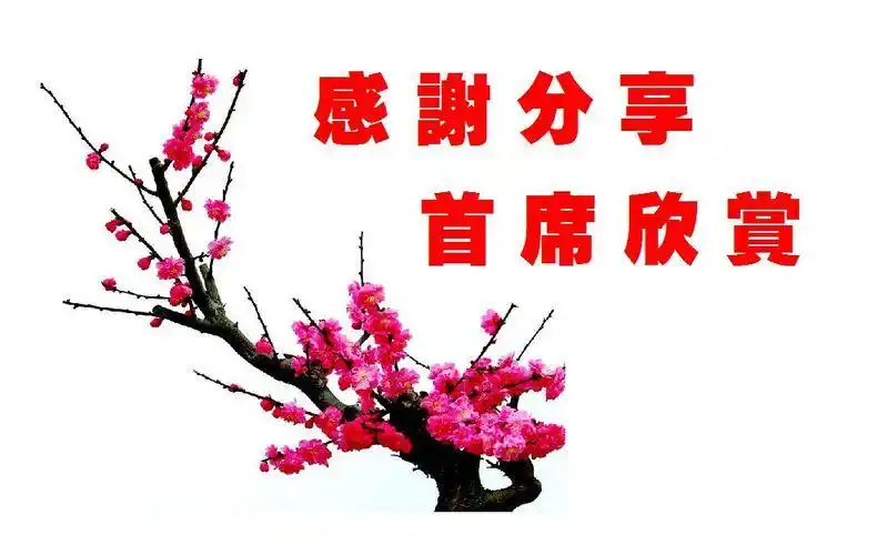 感谢分享 首席欣赏.jpg