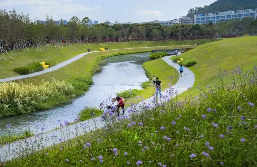 出自然而富有层次的景观空间在建设中通过工程护坡采用自然草坡入水的