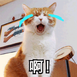 啊伤心哭猫gif动图_动态图_表情包下载_soogif