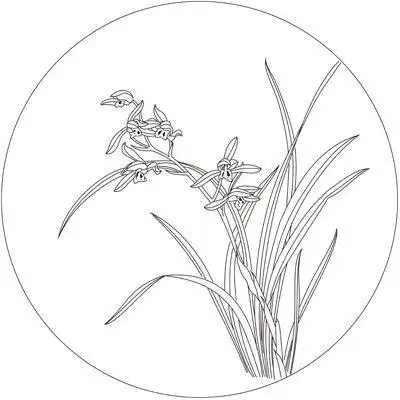 兰花白描底稿工笔画线描底图国画黑白画稿作业画花鸟底稿电子版-淘宝