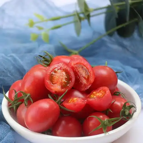 电白非转基因千禧小番茄4斤