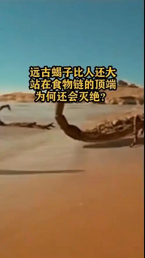 远古蝎子比人还大,站在食物链的顶端,为何还会灭绝?