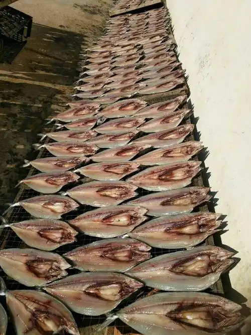 崂山王哥庄度假村姐姐家,超级好吃的纯甜晒鲅鱼就快要断货啦!