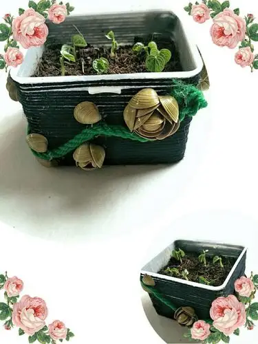 张淑菲的贝壳线圈花盆,给人一种引领现代潮流的感觉