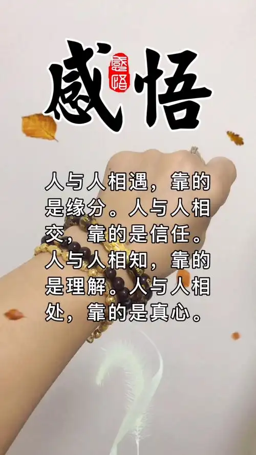 人与人之间不管什么关系,靠的是要互相尊重互相包容