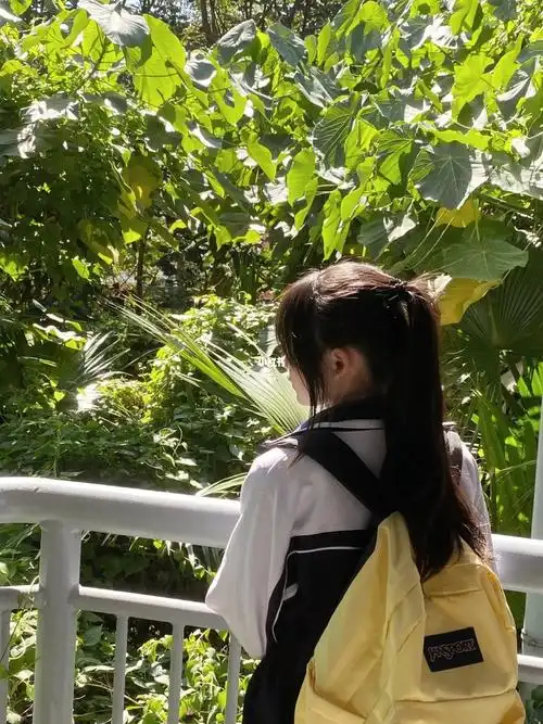深圳校服喜欢高马尾