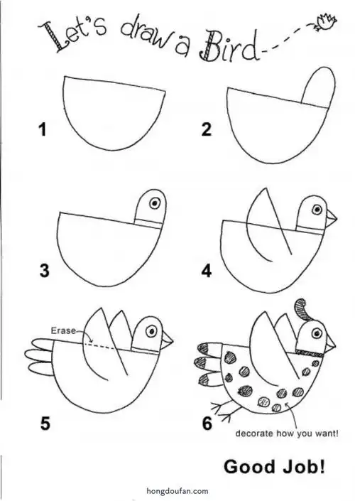 letsdrawabird一步一步画小鸟小鸟简笔画大全