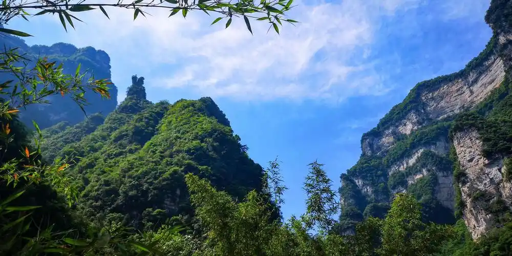 三峡竹海大峡谷原生态风光迷人,景区全新面貌喜迎国内外游客