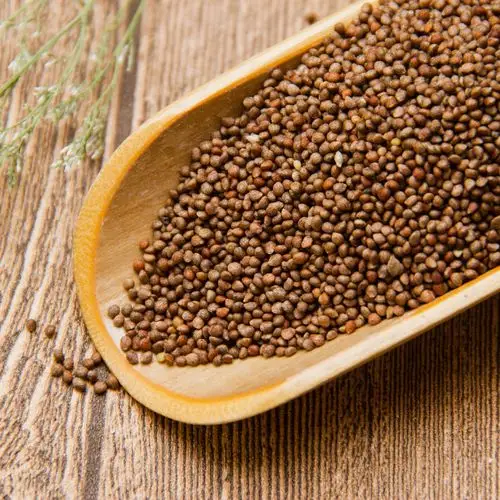 新货 紫苏子 中药材 紫苏籽 紫苏种子 支持药检 承接订单