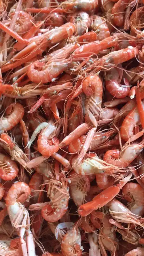 爪虾红虾夹板虾狗虾夹虾有量有价