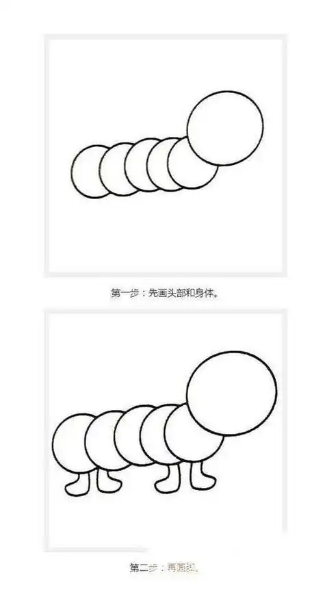 毛毛虫的生长过程图片简笔画,毛毛虫的生长变化