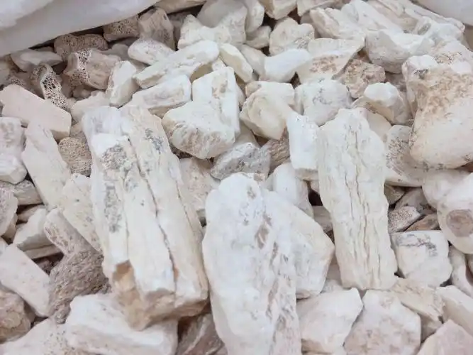 惠民媛药业 龙骨 水洗大统 产地 甘肃省