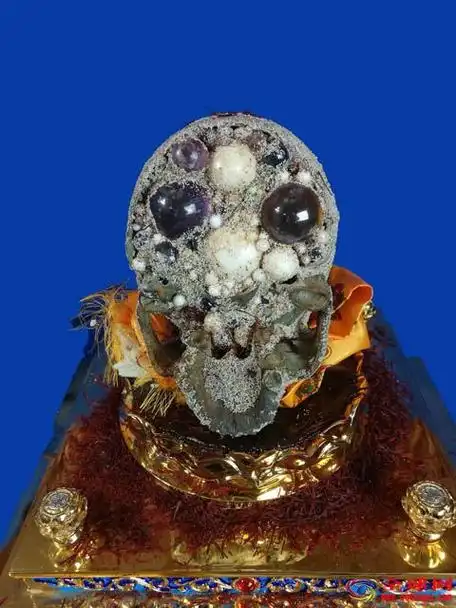 " data-lemmaid="213964">斯里兰卡 /a>康提城近郊的一个小镇子里,7岁