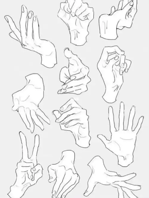 1000手部绘画素材参考73