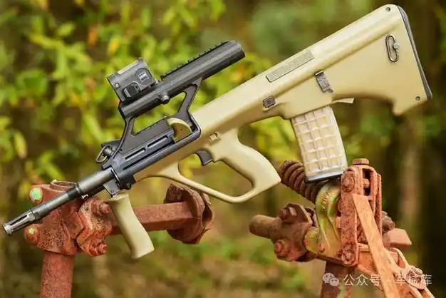 世界上最强大的12支突击步枪总有一支是你最喜欢的