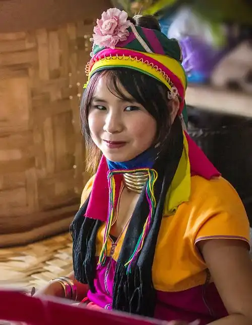 【原创】缅甸长颈族姑娘眼神撩人 - 歪树 - 歪树