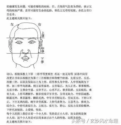 面相图解爱好者可收藏
