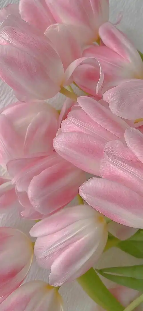 少女心壁纸治愈系壁纸高清壁纸1更多ins壁纸 高质量3986张图片·0人