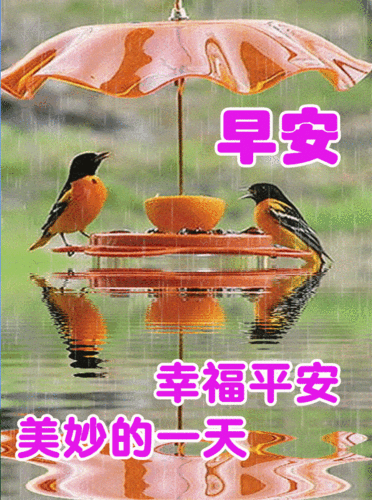 早上好表情包,每天的问候是情谊,是关心和惦记!